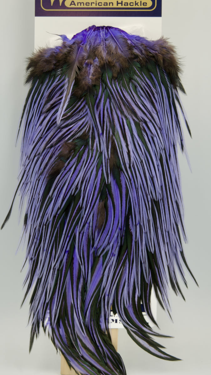 newproducts-5of22_1200x1200.